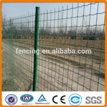 Factory direct high quality Euro fence for villa